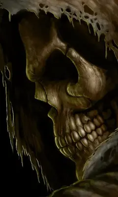 Skulls Live Wallpaper android App screenshot 3